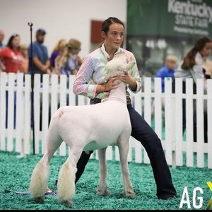 Meet your Posher, Anna